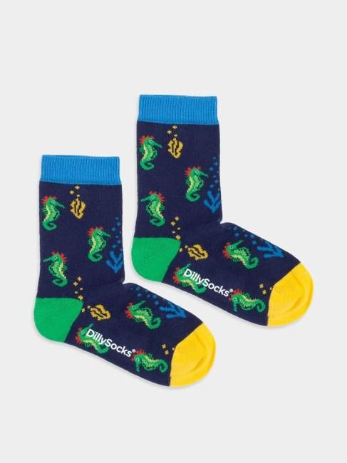 Little Seahorse Story