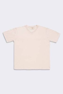 Men's Organic V-Neck Tee in Natural