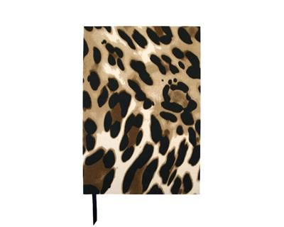 Leo Notebook