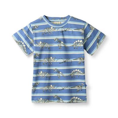 Gala t-shirt with dinosaurs and stripes