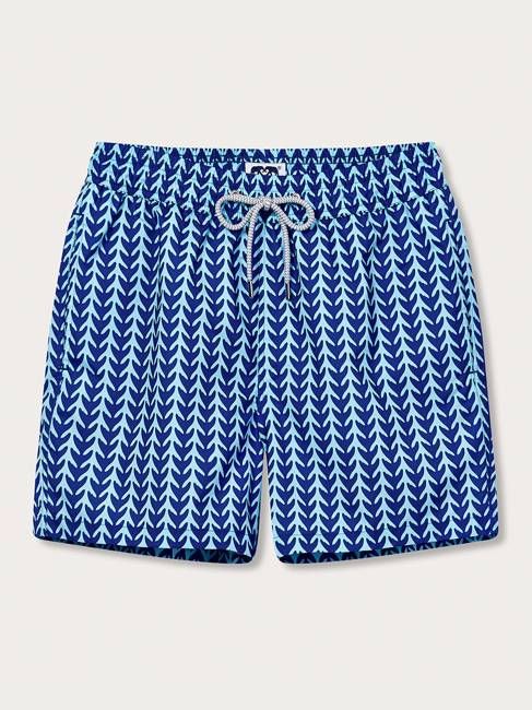 Men's Whale Tale Staniel Swim Shorts