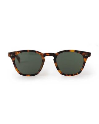 The Legend in Tokyo Tortoise
