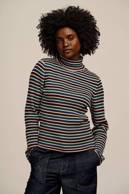 Eva - Knitted Roll Neck Long Sleeve Top in Earthy Stripe