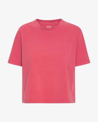 Organic Boxy Crop Tee - Faded Red