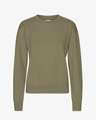 Women Classic Organic Crew - Dusty Olive