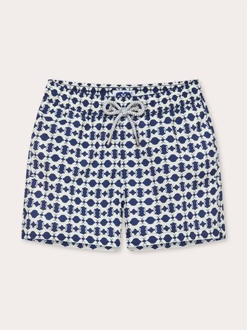 Boys Eye of the Tiger Staniel Swim Shorts