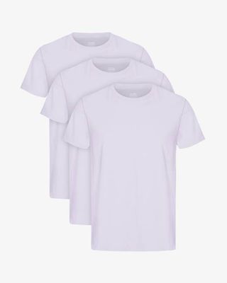 Classic Organic Tee - Soft Lavender (3-Pack)