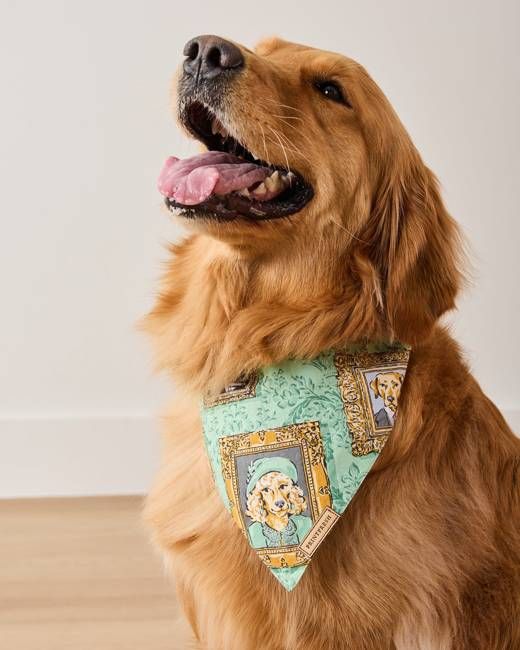 PF + Downton Abbey: The Grande Finale | Dogton Abbey - Pet Bandana - Green