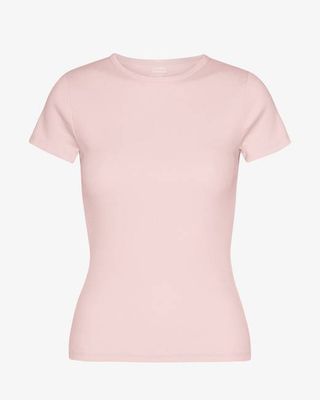 Organic Rib T-Shirt - Faded Pink