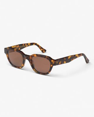 Sunglass 13 - Classic Havana - Brown