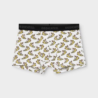 DEDICATED - Boxer Briefs Kalix Pike White