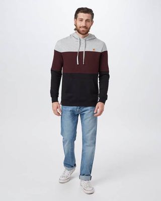 TreeFleece Blocked Reynard Hoodie