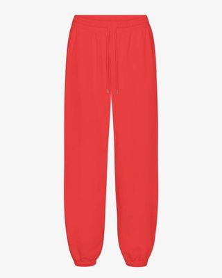 Organic Relaxed Sweatpants - Red Tangerine