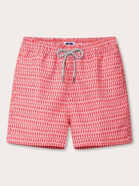 Men's Hot as Shell Staniel Swim Shorts