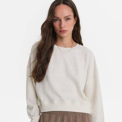 Textured Knit Crewneck Pullover