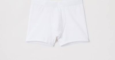 White Boxer Brief | Soft Organic Cotton Stretch | Asket