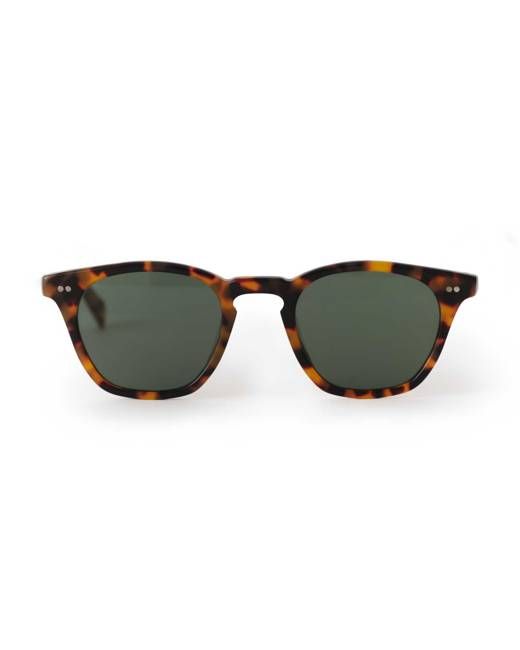 The Legend in Tokyo Tortoise
