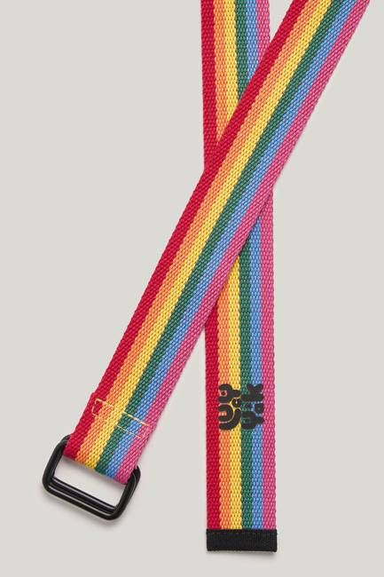 Flynn - D-Ring Cotton Webbing Belt in Vibrant Rainbow