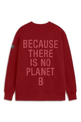 ROTER STURM-KAPUZENPULLI