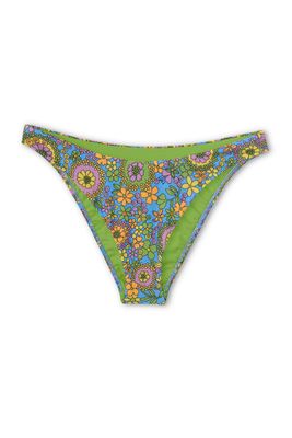 Curve Brief in Sweet Jane