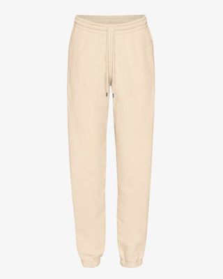 Organic Sweatpants - Ivory White