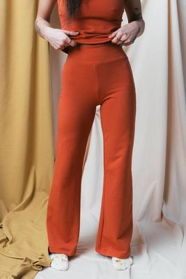 Eleanor Pants (Updated) in Persimmon