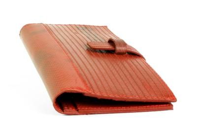 Travel Wallet