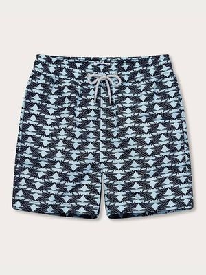 Men's Pangolin Puzzle Staniel Swim Shorts