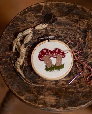 Mini Toadstool Embroidery Kit in Multi
