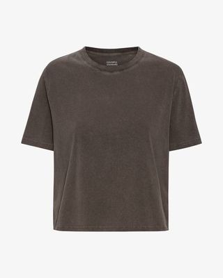 Organic Boxy Crop Tee - Faded Mud