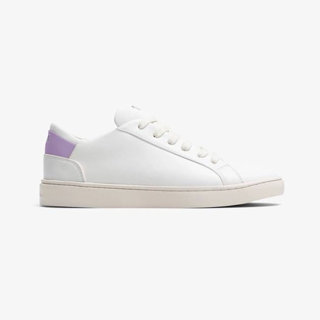 Women's Lace Up | White-Violet Dusk