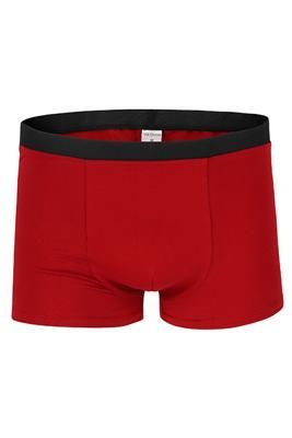 Bio Trunk Shorts / Retro Shorts chilirot