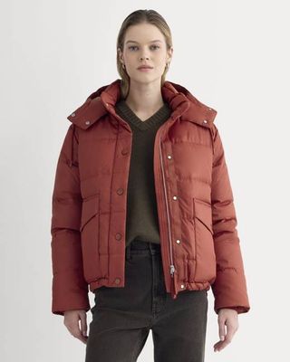 The EverPuff™ | Merlot