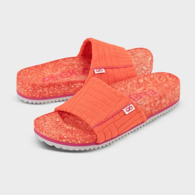 La Cumbre Slide - Starfish