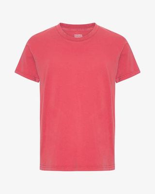 Classic Organic Tee - Faded Red