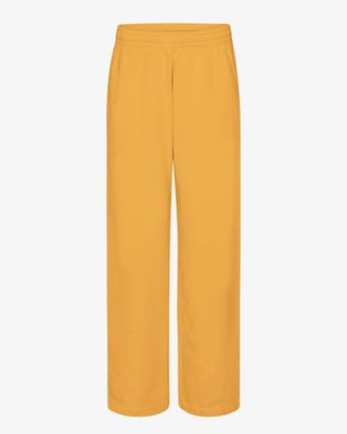 Organic Straight Leg Sweatpants - Burned Yellow