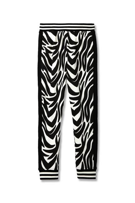 B+W Zebra Jogger