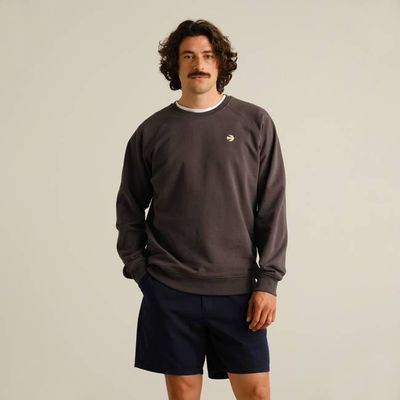 DEDICATED - Sweatshirt Malmö Vogelsymbol Anthrazit