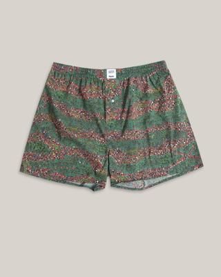 Wally & Odlaw Swamp Boxers