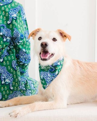 Tiger Queen - Pet Bandana - Jade