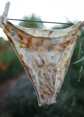 FLOWER FRENCH CUT — PANSY