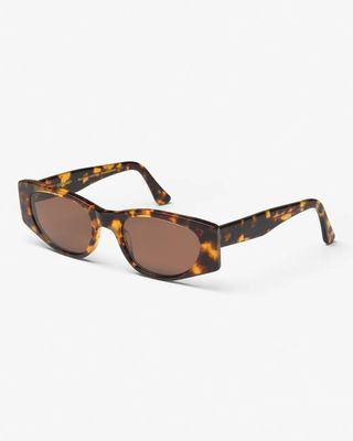 Sunglass 08 - Classic Havana - Brown
