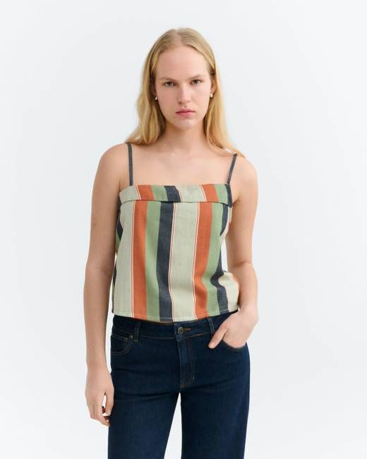 Raida multicolor striped printed top