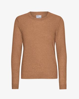 Women Light Merino Wool Crew - Sahara Camel