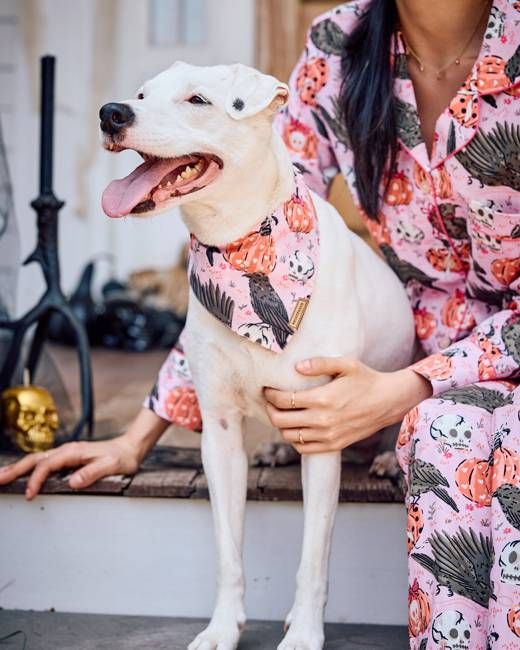Sleepy Hollow - Pet Bandana - Nevermore Pink