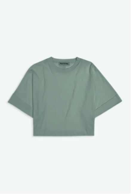 CASTILE | DARK FOREST