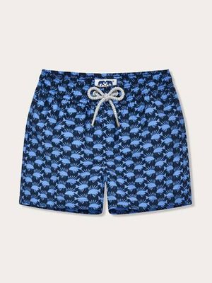 Boys Fish Invasion Staniel Swim Shorts
