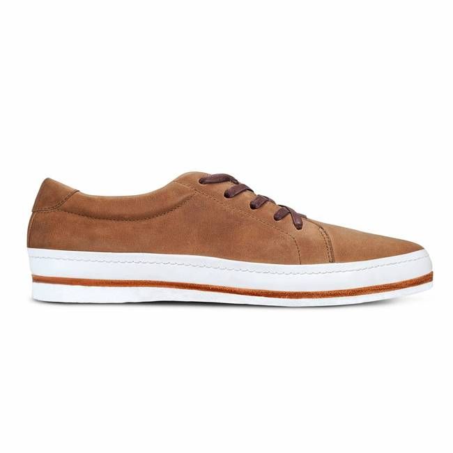 The Men's Brisa in Desert ~ Standard/Narrow