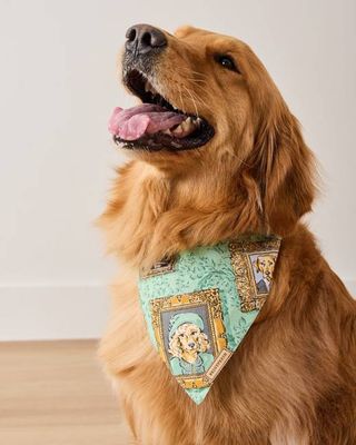 PF + Downton Abbey: The Grande Finale | Dogton Abbey - Pet Bandana - Green