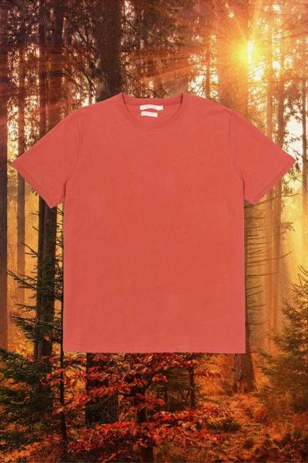 Regenerative Short Sleeve Tee | Rust
